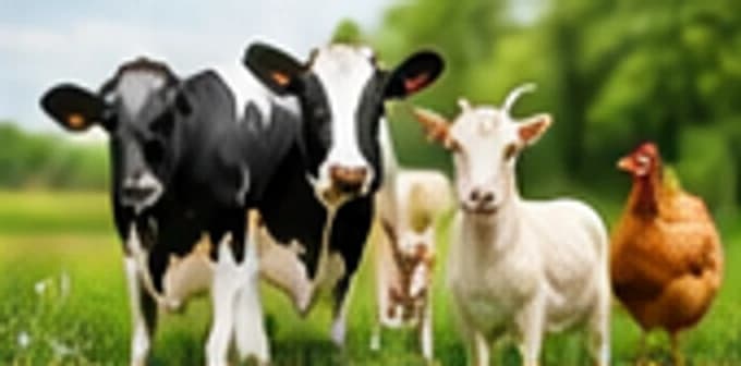 Animal care