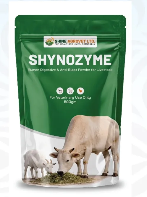Shynozyme (500 gm)