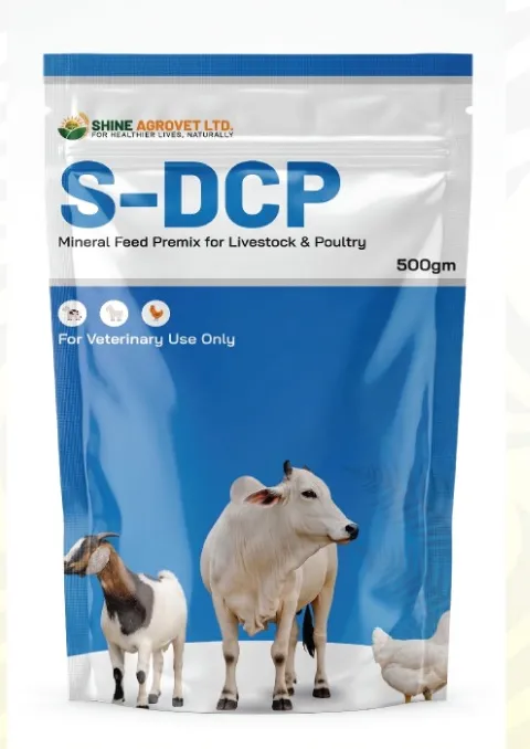 S-DCP (500 gm)